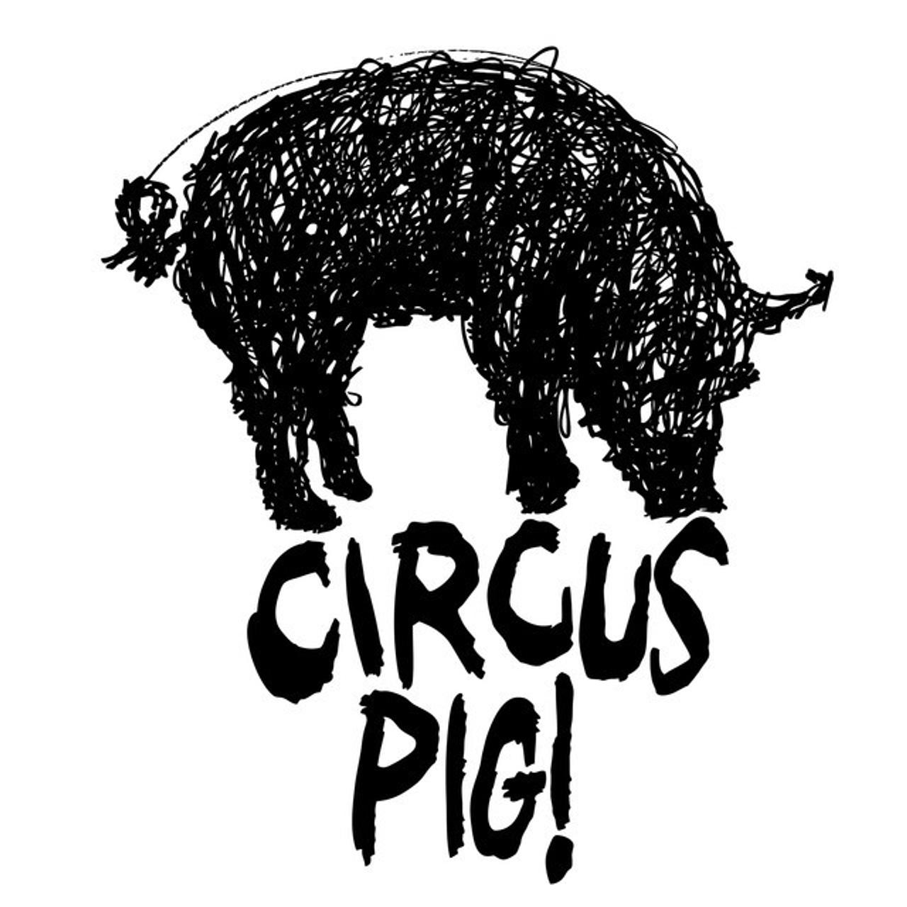 Circus Pig!