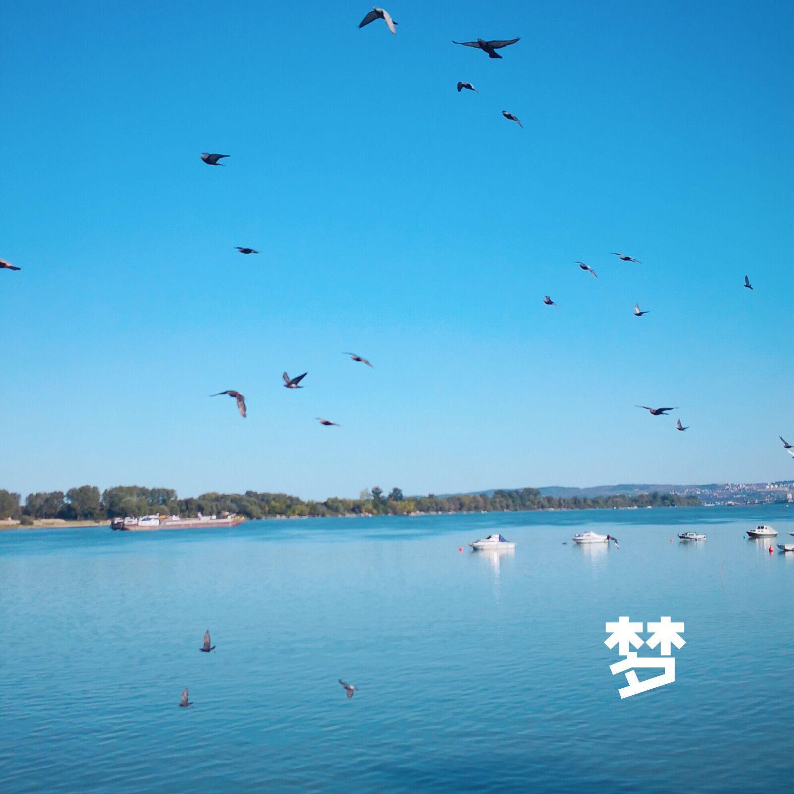 梦（翻唱）