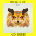 Nothing On You (HusH! Bootleg)