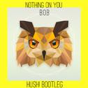 Nothing On You (HusH! Bootleg)专辑