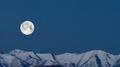 Moonlight专辑