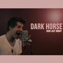 Dark Horse - Single专辑