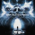 Reborn in the ruin（Dark Burnerz Remix）