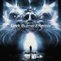 Reborn in the ruin（Dark Burnerz Remix）专辑