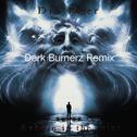 Reborn in the ruin（Dark Burnerz Remix）专辑