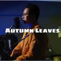 Autumn leaves