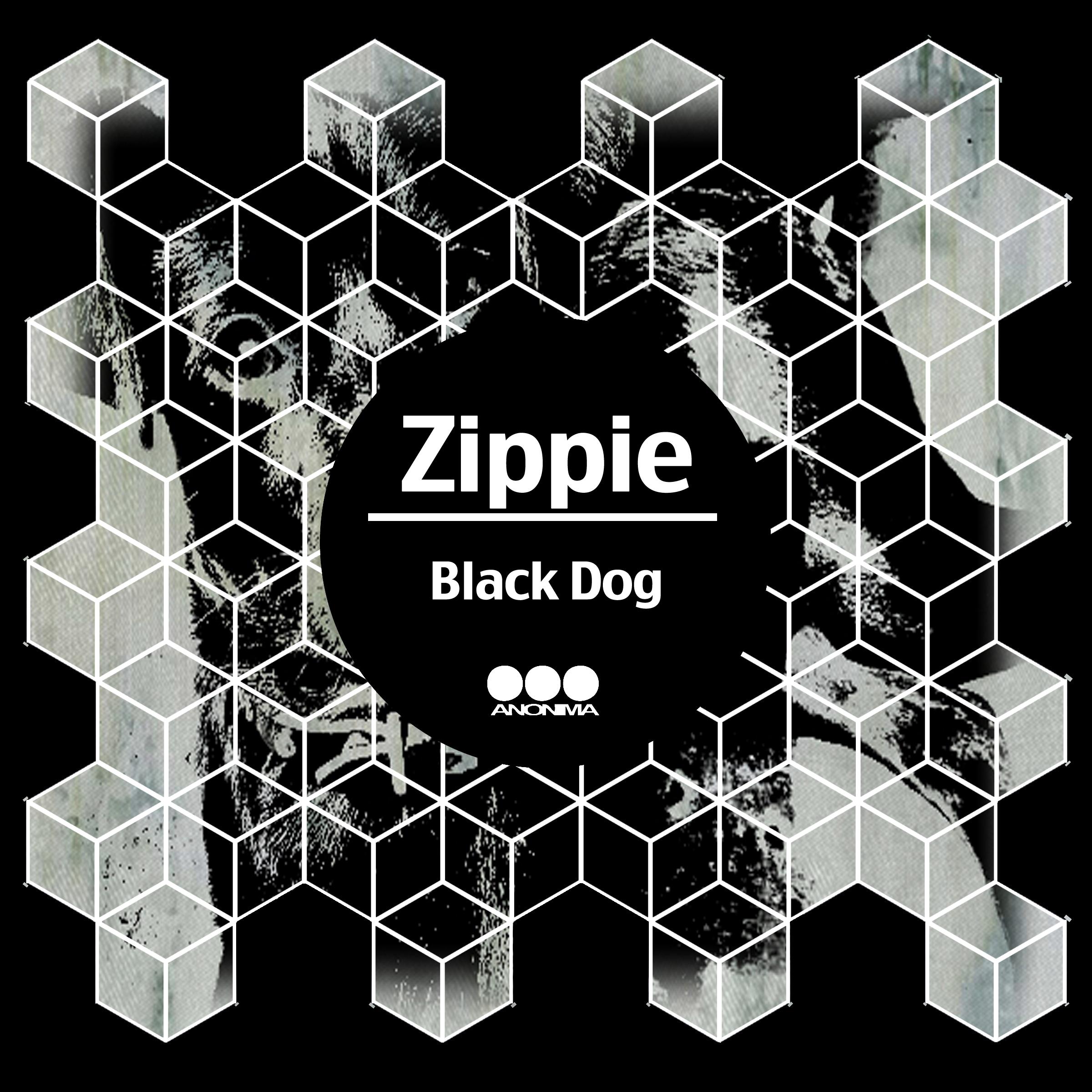 Black Dog