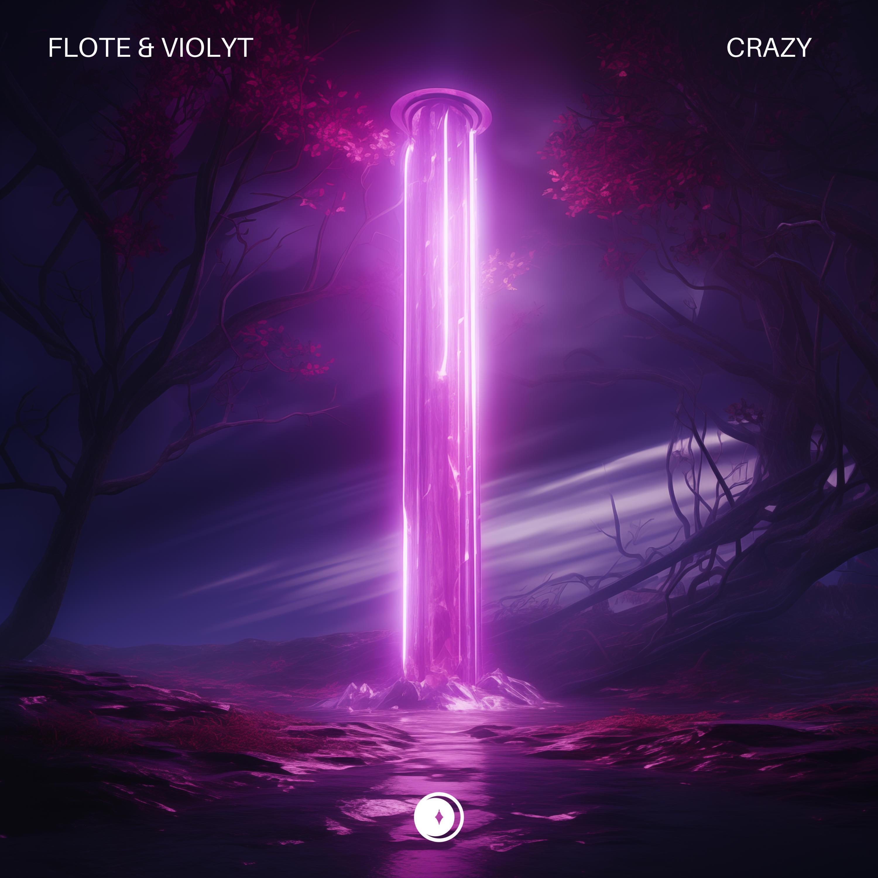 Flöte - Crazy