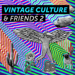 Vintage Culture & Friends 2专辑