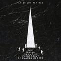 After Life Remixes专辑