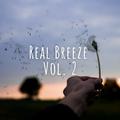 Real Breeze Vol. 2