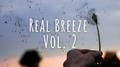 Real Breeze Vol. 2专辑