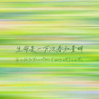 春与景明 | 蝴蝶扇动的羽翼是春的明信片