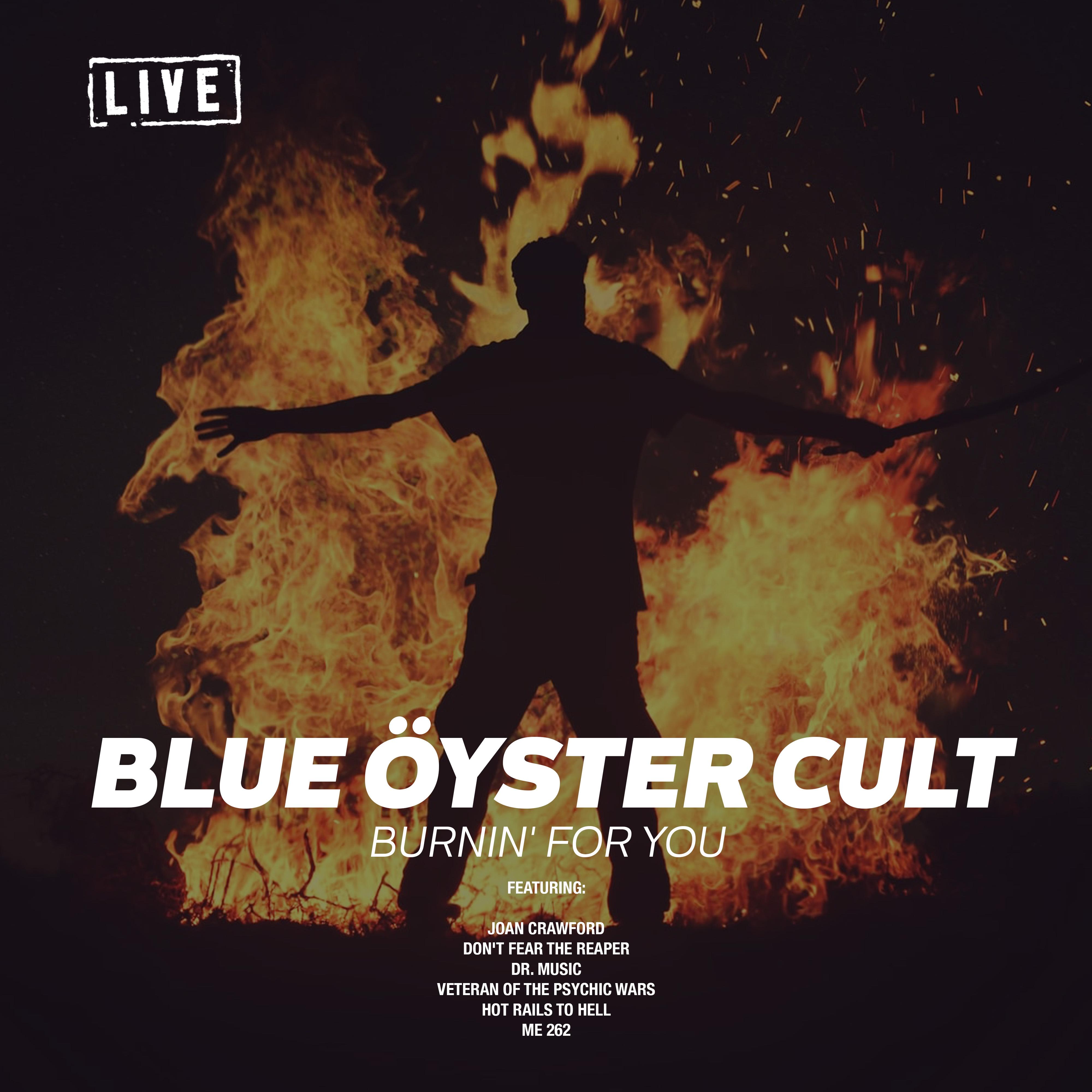 Burnin' For You (Live)