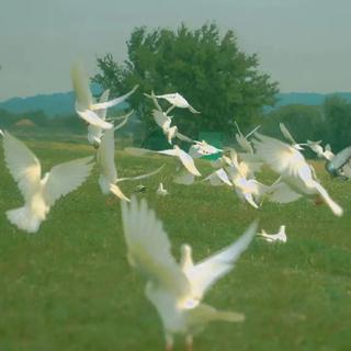 春分昼夜｜时间，由此进入了春天的地界