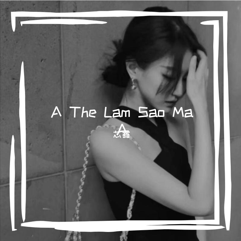 A The Lam Sao Ma A(Alan Walker Mix)