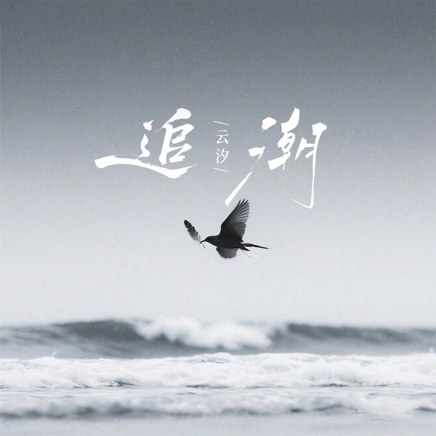 追潮专辑