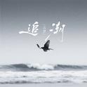 追潮专辑