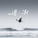 追潮专辑