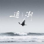 追潮专辑