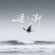 追潮