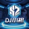 跳楼机 (DJ小祖Remix)
