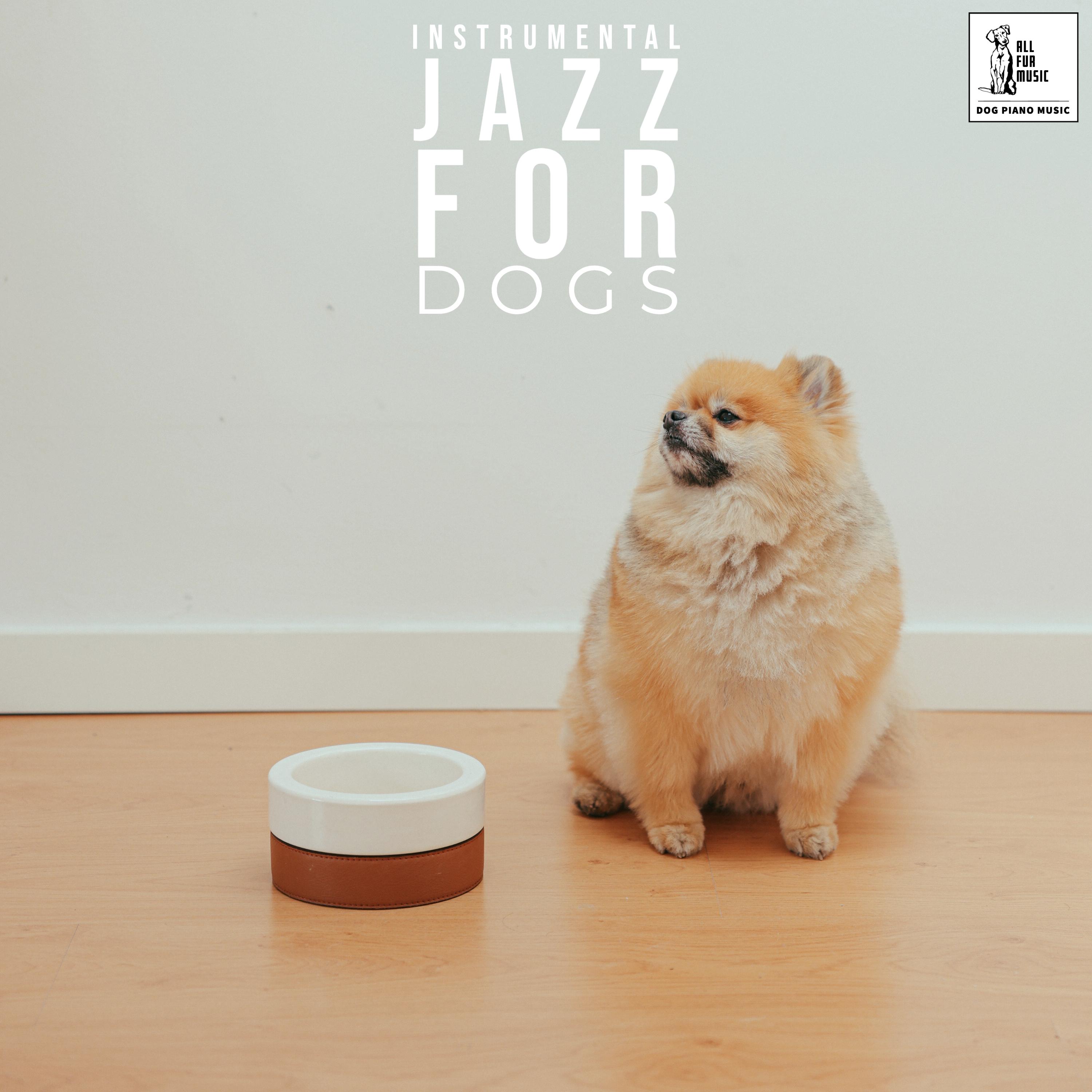 Instrumental Jazz For Dogs