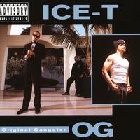 Ice-T - Lifestyles Of The Rich And Infamous (DJ Premier Remix instrumental)