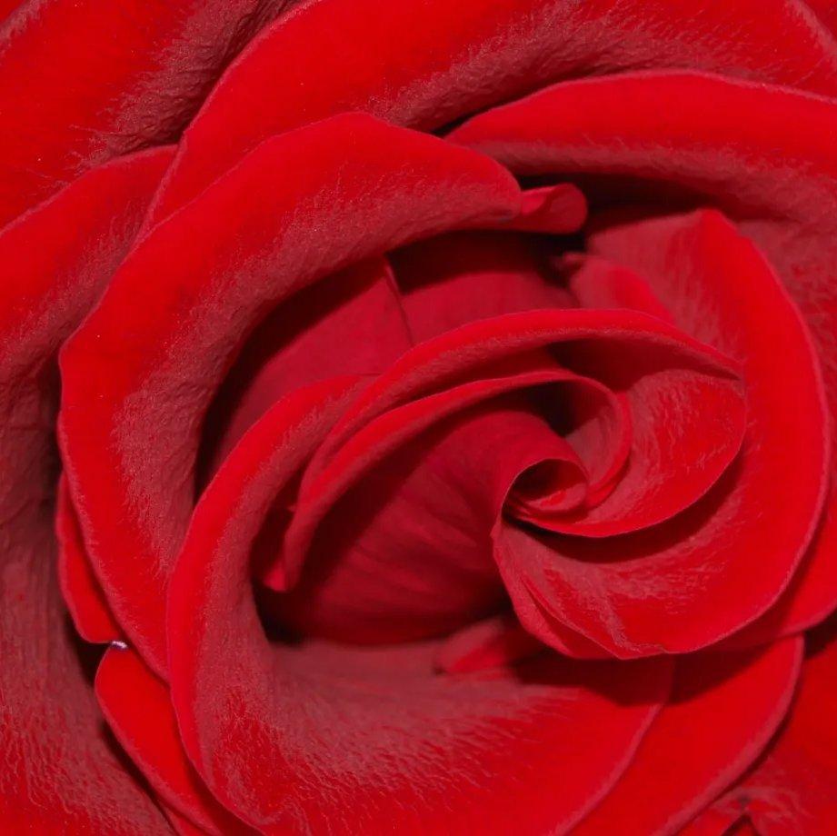 Sensual Channel