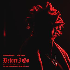 Kodak Black - Before I Go （升3半音）