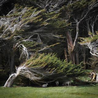任由外界急风骤雨 只追寻内心的平静