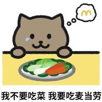 我不要吃菜 我要吃麦当劳.