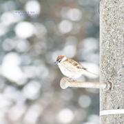 스트레스가 많은 현대인을 위한 힐링 명상음악