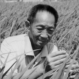 袁隆平：一路走好