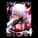 STORM专辑