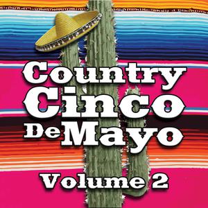 Stays in Mexico - Toby Keith (SC karaoke) 带和声伴奏
