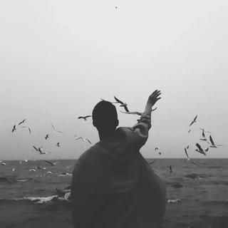 100种人生的态度，有没有你的归宿？