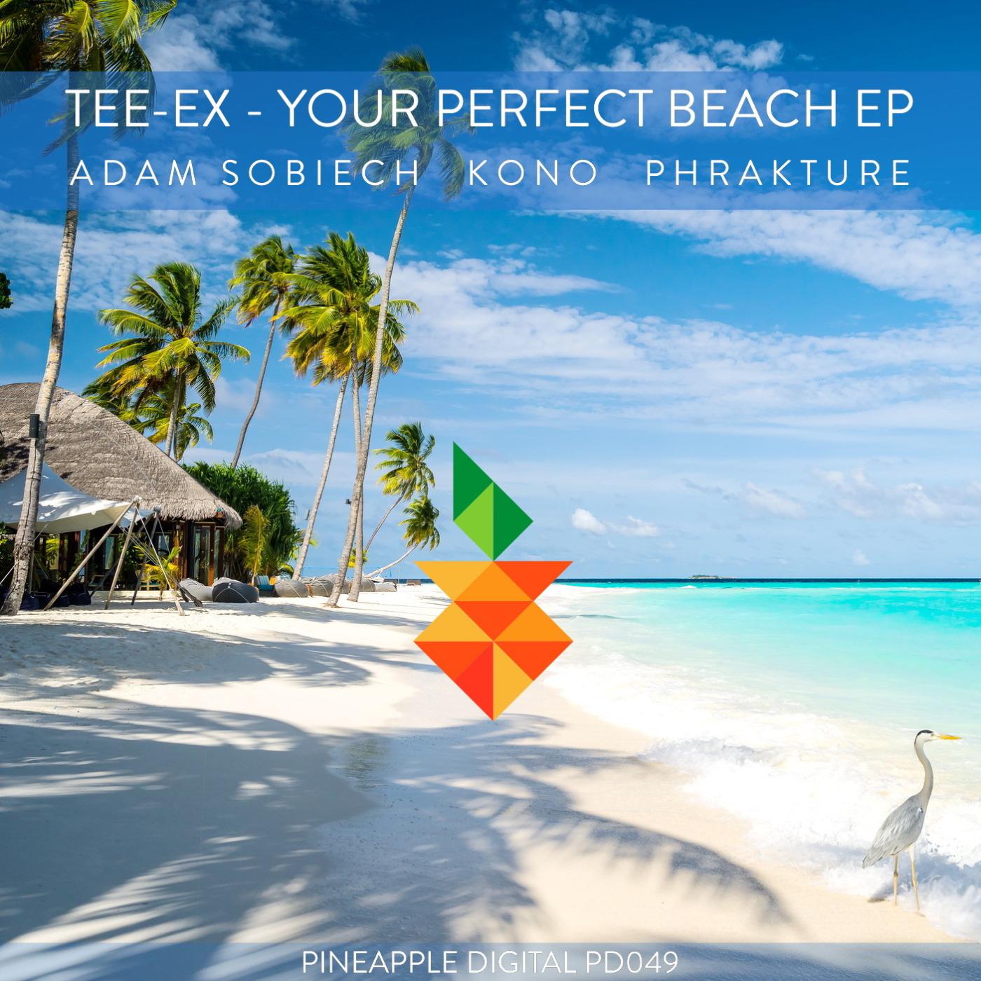 Tee-Ex - Your Perfect Beach (Original Intro Mix)