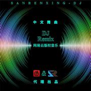 张玮伽-海浪DJ（FunkyHouse Rmx车载版）