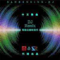 那滋味（2023时尚嘉宾EDM电音舞曲资料）阿奎独家制作