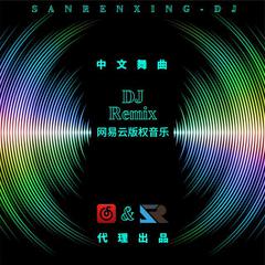 中文舞曲DJ-第一期网易版权音乐Remix