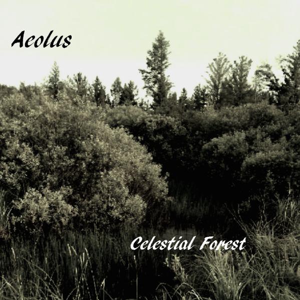 Celestial Forest
