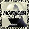 DJ Falk Original - Montagem Acalma Mentes