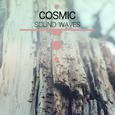 #20 Cosmic Sound Waves