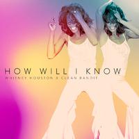 How Will I Know - Glee Cast (TV版 Karaoke) 原版伴奏