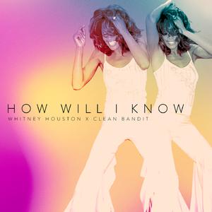 How Will I Know - Sam Smith & Whitney Houston (钢琴伴奏)