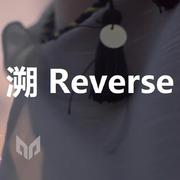 溯 Reverse