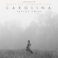 Taylor Swift - Carolina (From Where The Crawdads Sing) (BB Instrumental) 无和声伴奏