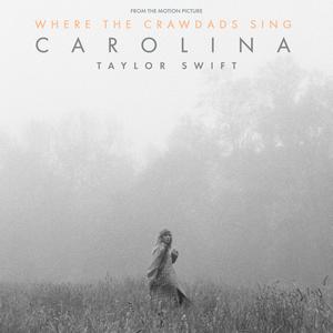 Taylor Swift - Carolina (K Instrumental) 无和声伴奏