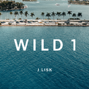WILD 1专辑